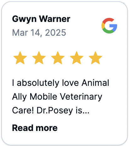 Screen Shot 2025-03-16 at 11.00.10 AM