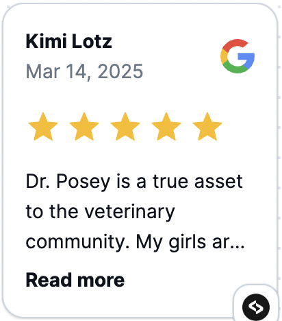 Screen Shot 2025-03-16 at 11.01.57 AM