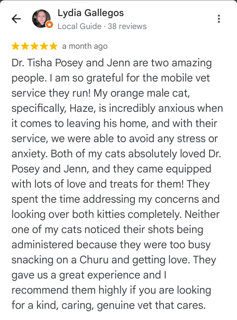 Screenshot_20251111_055329_Maps