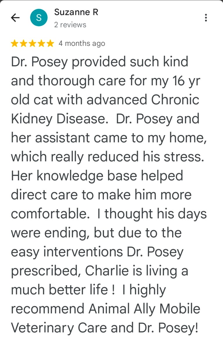 Screenshot_20251111_061619_Maps