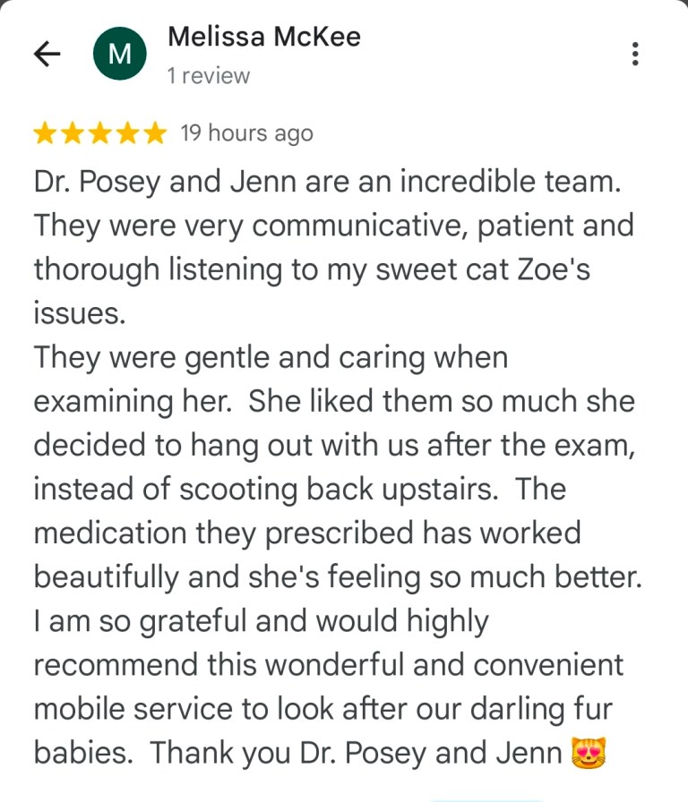 Screenshot_20251111_061926_Maps